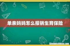 单亲妈妈怎么报销生育保险
