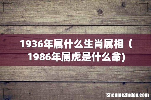 1936年属什么生肖属相(1986年属虎是什么命)