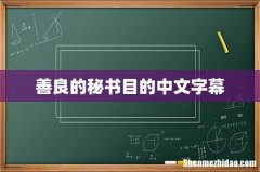 善良的秘书目的中文字幕
