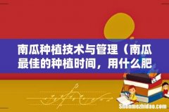 南瓜最佳的种植时间，用什么肥料最好 南瓜种植技术与管理