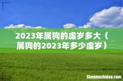 属狗的2023年多少虚岁 2023年属狗的虚岁多大