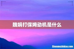 魏娟打保姆动机是什么