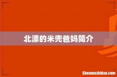 北漂的米兜爸妈简介
