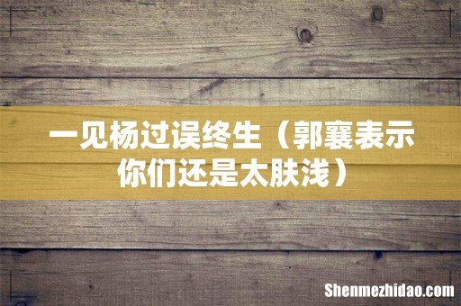 郭襄表示你们还是太肤浅 一见杨过误终生