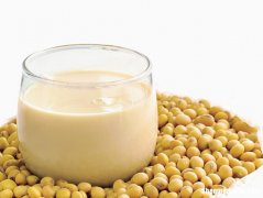 豆浆怎么吃减肥 豆浆怎么喝减肥法