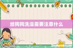 给狗狗洗澡需要注意什么