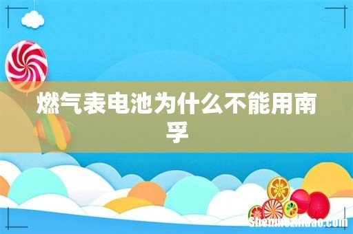 燃气表电池为什么不能用南孚