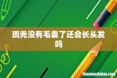 斑秃没有毛囊了还会长头发吗