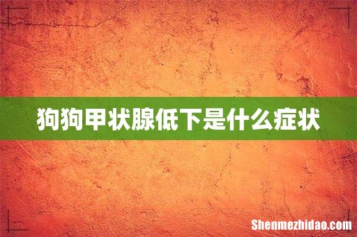 狗狗甲状腺低下是什么症状