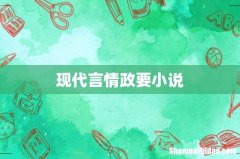 现代言情政要小说
