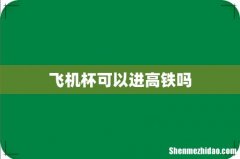 飞机杯可以进高铁吗