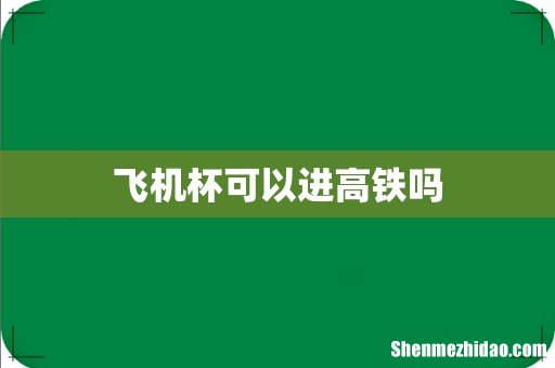 飞机杯可以进高铁吗
