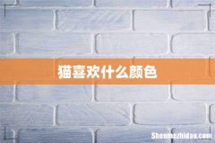 猫喜欢什么颜色