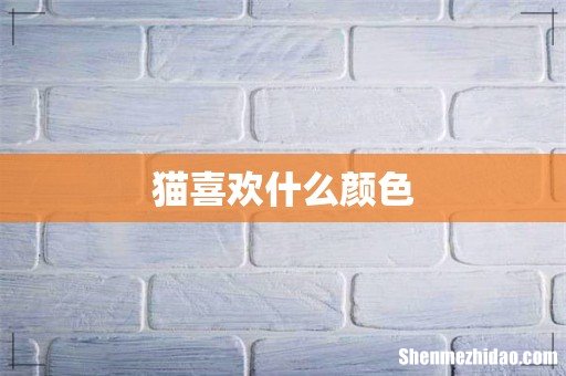 猫喜欢什么颜色