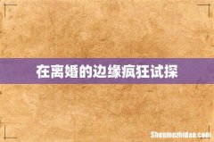 在离婚的边缘疯狂试探