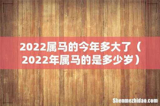 2022年属马的是多少岁 2022属马的今年多大了
