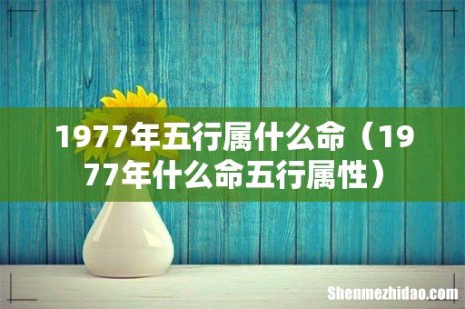 1977年什么命五行属性 1977年五行属什么命