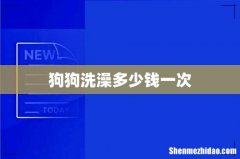 狗狗洗澡多少钱一次