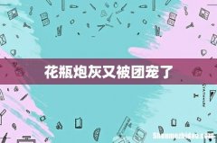 花瓶炮灰又被团宠了