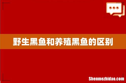 野生黑鱼和养殖黑鱼的区别