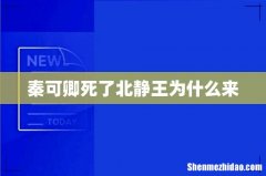秦可卿死了北静王为什么来