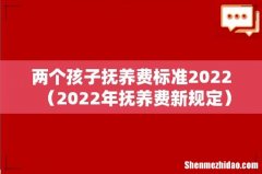 2022年抚养费新规定 两个孩子抚养费标准2022