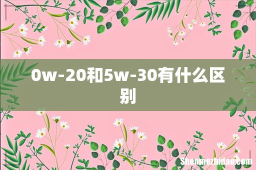 0w-20和5w-30有什么区别