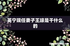 英宁现任妻子王琼是干什么的