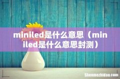 miniled是什么意思封测 miniled是什么意思
