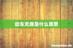 动车无座是什么意思