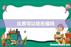 比熊可以吃石榴吗