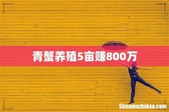 青蟹养殖5亩赚800万