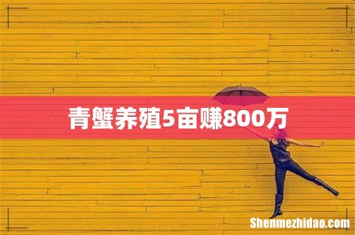 青蟹养殖5亩赚800万