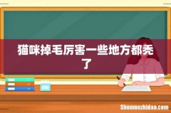猫咪掉毛厉害一些地方都秃了