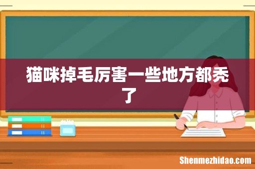 猫咪掉毛厉害一些地方都秃了