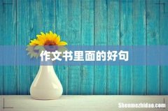 作文书里面的好句