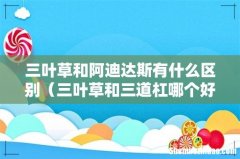三叶草和三道杠哪个好看 三叶草和阿迪达斯有什么区别