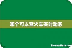 哪个可以查火车实时动态