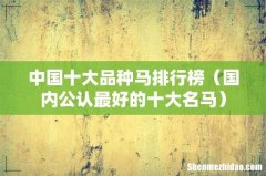 国内公认最好的十大名马 中国十大品种马排行榜