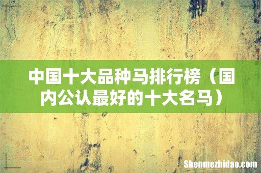 国内公认最好的十大名马 中国十大品种马排行榜