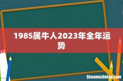 1985属牛人2023年全年运势