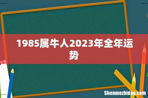 1985属牛人2023年全年运势