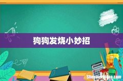 狗狗发烧小妙招