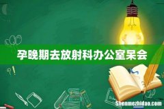 孕晚期去放射科办公室呆会