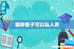 哪种猴子可以私人养