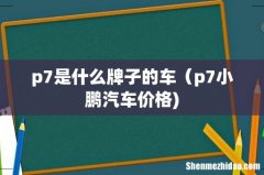 p7是什么牌子的车（p7小鹏汽车价格)