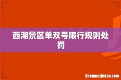 西湖景区单双号限行规则处罚