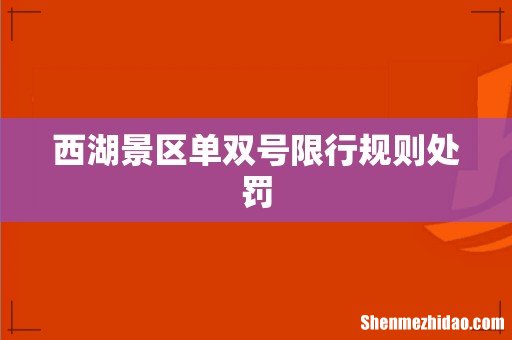 西湖景区单双号限行规则处罚