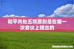 和平共处五项原则是在哪一次会议上提出的