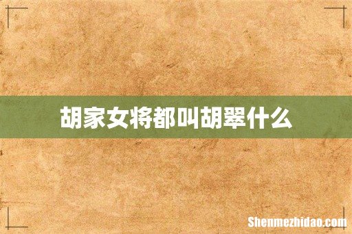 胡家女将都叫胡翠什么